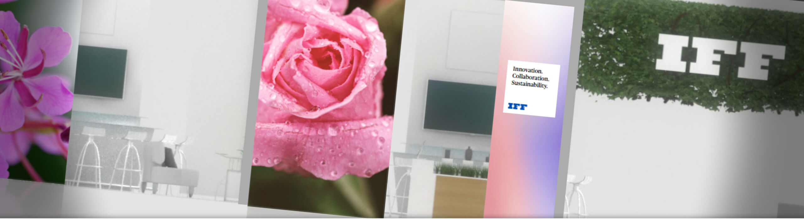 IFF CaseSlice-IFFWPC