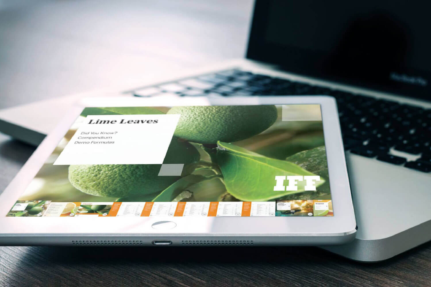 block03 UX-IFF-1500x1000